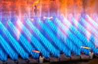 Stoke Bliss gas fired boilers